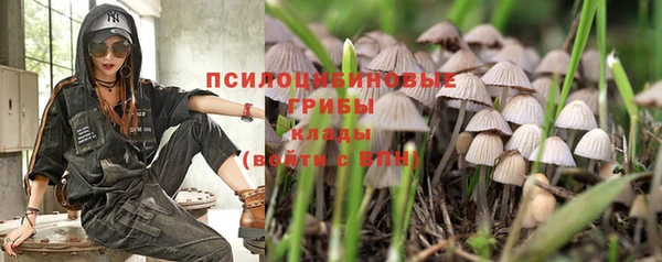 spice Зеленодольск
