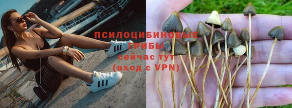 мяу мяу мука Зеленокумск